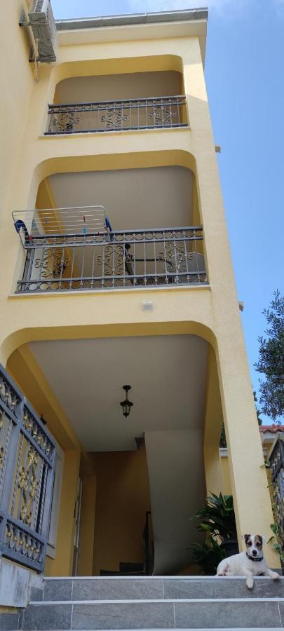 Apartments Sofija سلاتين المظهر الخارجي الصورة